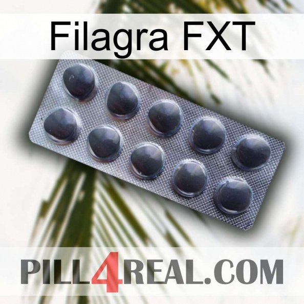 Filagra FXT 30.jpg
